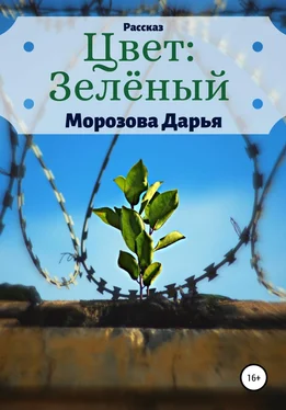 Дарья Морозова Цвет: зелёный обложка книги