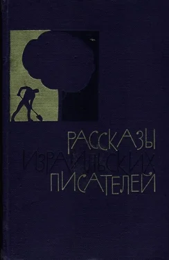 Йицхак Ави-Давид Рассказы израильских писателей обложка книги