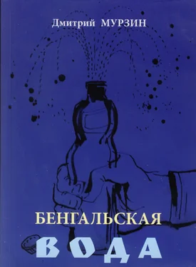 Дмитрий Мурзин Бенгальская вода обложка книги