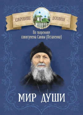 Д. Чунтонов Мир души. По творениям схиигумена Саввы (Остапенко) обложка книги