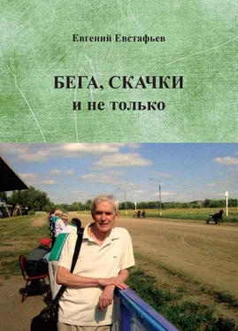 Евгений Евстафьев Бега, скачки и не только. Путь зоотехника обложка книги