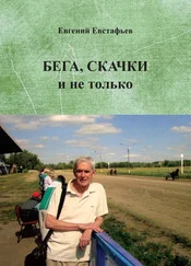 Евгений Евстафьев - Бега, скачки и не только. Путь зоотехника