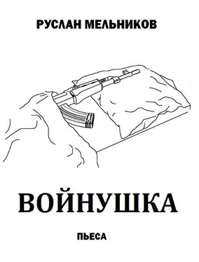 Руслан Мельников Войнушка обложка книги