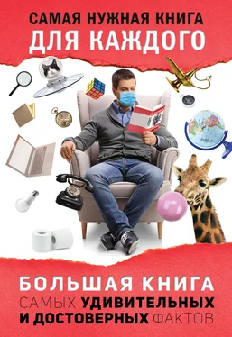 Любовь Кремер Большая книга самых удивительных и достоверных фактов обложка книги