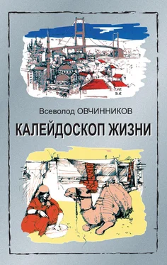 Всеволод Овчинников Калейдоскоп жизни: экзотические, драматические и комические эпизоды личной судьбы ветерана журналистики обложка книги