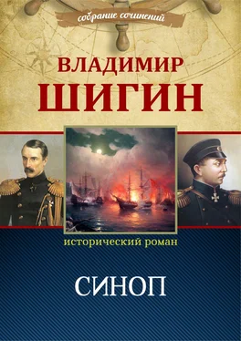 Владимир Шигин Синоп (Собрание сочинений) обложка книги