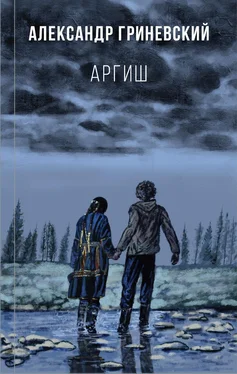 Александр Гриневский Аргиш обложка книги