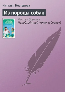 Наталья Нестерова Из породы собак обложка книги