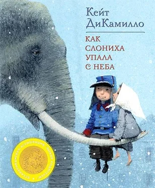 Кейт ДиКамилло Как слониха упала с неба обложка книги