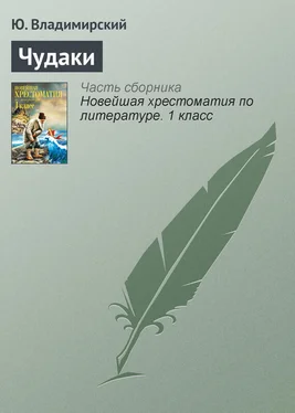 Ю. Владимирский Чудаки обложка книги