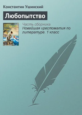 Константин Ушинский Любопытство обложка книги