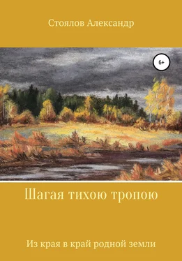 Александр Стоялов Шагая тихою тропою обложка книги