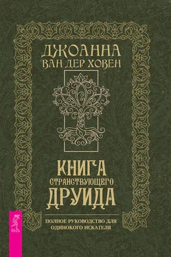 Джоанна Ховен Книга странствующего друида обложка книги