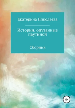 Екатерина Николаева Истории, опутанные паутиной обложка книги