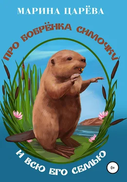 Марина Царёва Про бобрёнка Симочку и всю его семью обложка книги