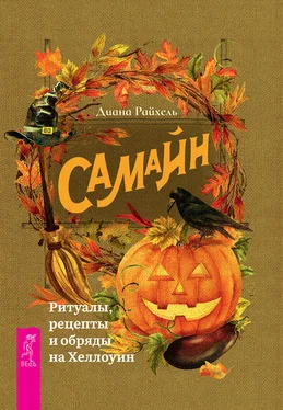 Диана Райхель Самайн обложка книги