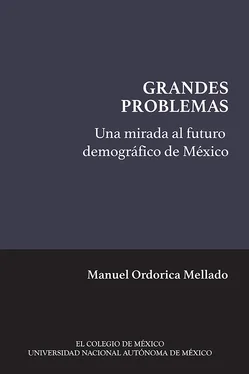 Manuel Ordorica Mellado Una mirada al futuro demográfico de México обложка книги