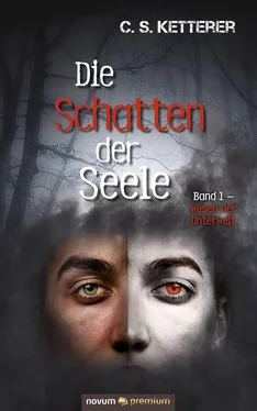 C. S. Ketterer Die Schatten der Seele обложка книги