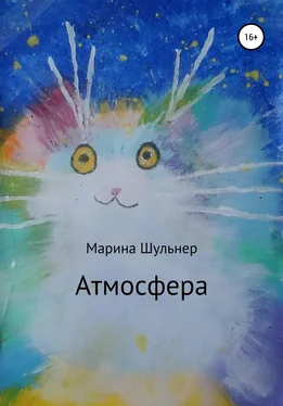 Марина Шульнер Атмосфера обложка книги