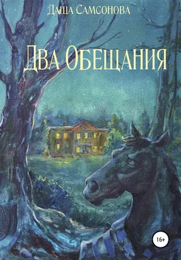 Даша Самсонова Два Обещания обложка книги