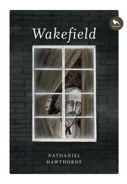 Nathaniel Hawthorne Wakefield обложка книги