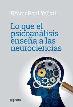 Néstor Raúl Yelatti Lo que el psicoanálisis enseña a las neurociencias обложка книги