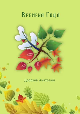 Анатолий Дорохов Времена года обложка книги