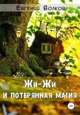 Евгений Волков Жи-Жи и потерянная магия обложка книги