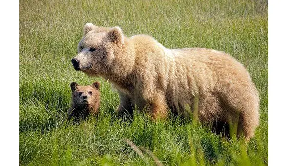 Моя первая сказка Была написана для младшей дочки когда та училась в 11 - фото 2