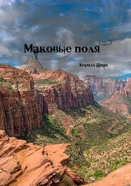 Кирилл Шпак Маковые поля обложка книги