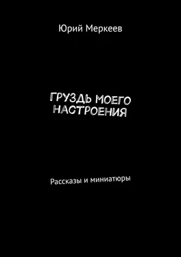 Юрий Меркеев ГруЗдь моего настроения. Рассказы и миниатюры обложка книги