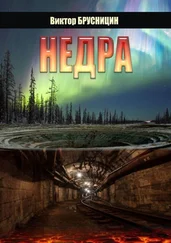 Виктор Брусницин - Недра. Повесть