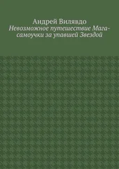Андрей Вилявдо - Невозможное путешествие Мага-самоучки за упавшей Звездой