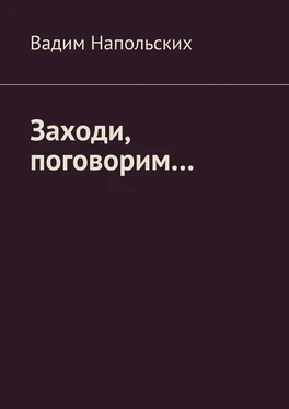 Вадим Напольских Заходи, поговорим… обложка книги