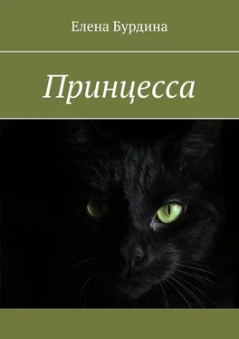 Елена Бурдина Принцесса обложка книги