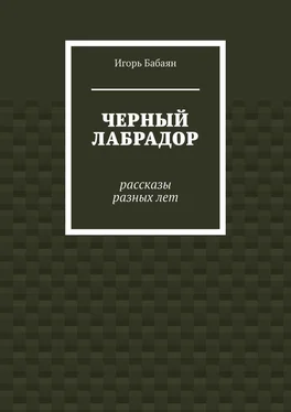 Игорь Бабаян Черный лабрадор обложка книги