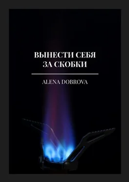 Alena Dobrova Вынести себя за скобки обложка книги