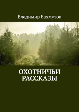 Владимир Бахмутов Охотничьи рассказы обложка книги