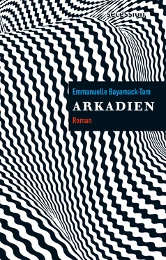 Emmanuelle Bayamack-Tam Arkadien обложка книги