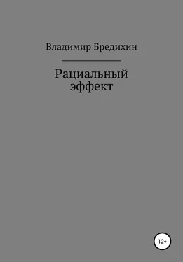Владимир Бредихин Рациальный эффект обложка книги