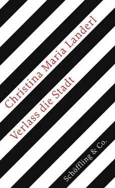 Christina Maria Landerl Verlass die Stadt обложка книги