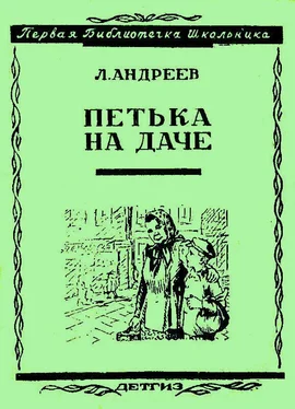 Леонид Андреев Петька на даче обложка книги