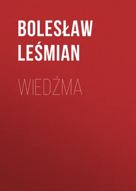 Bolesław Leśmian Wiedźma обложка книги