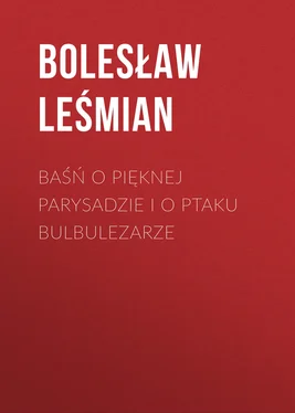 Bolesław Leśmian Baśń o pięknej Parysadzie i o ptaku Bulbulezarze обложка книги