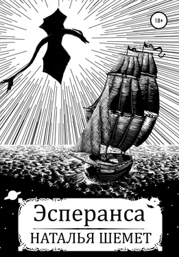 Наталья Шемет Эсперанса обложка книги