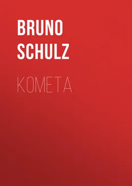 Bruno Schulz Kometa обложка книги