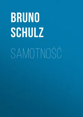 Bruno Schulz Samotność обложка книги