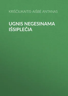 Kriščiukaitis-Aišbė Antanas Ugnis negesinama išsiplečia обложка книги