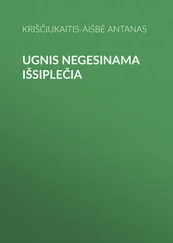 Kriščiukaitis-Aišbė Antanas - Ugnis negesinama išsiplečia