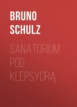Bruno Schulz Sanatorium Pod Klepsydrą обложка книги